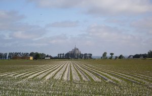 Mtstmichel2011 (2).JPG