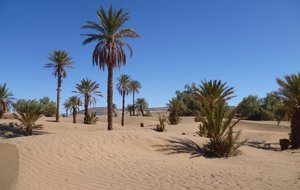 David MdS 2012 (1).JPG