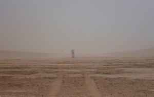 David MdS 2012 (2).JPG