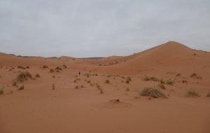 David MdS 2012 (3).JPG