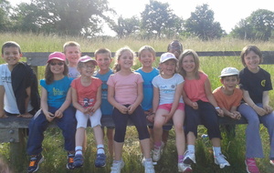 51d9c9abbf93a_2013060718.36.17.jpg