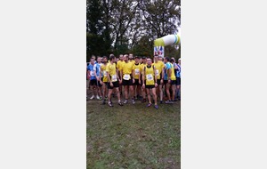 Seniors cross C.Ouest 2014