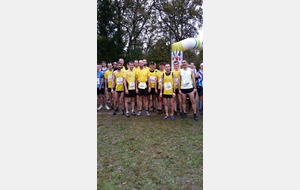 Seniors cross C.Ouest 2014