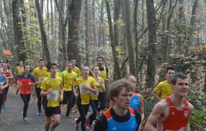 Cross courrier de l'ouest 2015