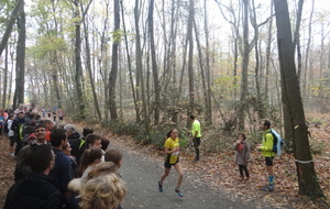 Cross courrier de l'ouest 2015