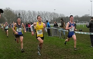 5a7ec7bbf1e16_CrosslafertB33.jpg
