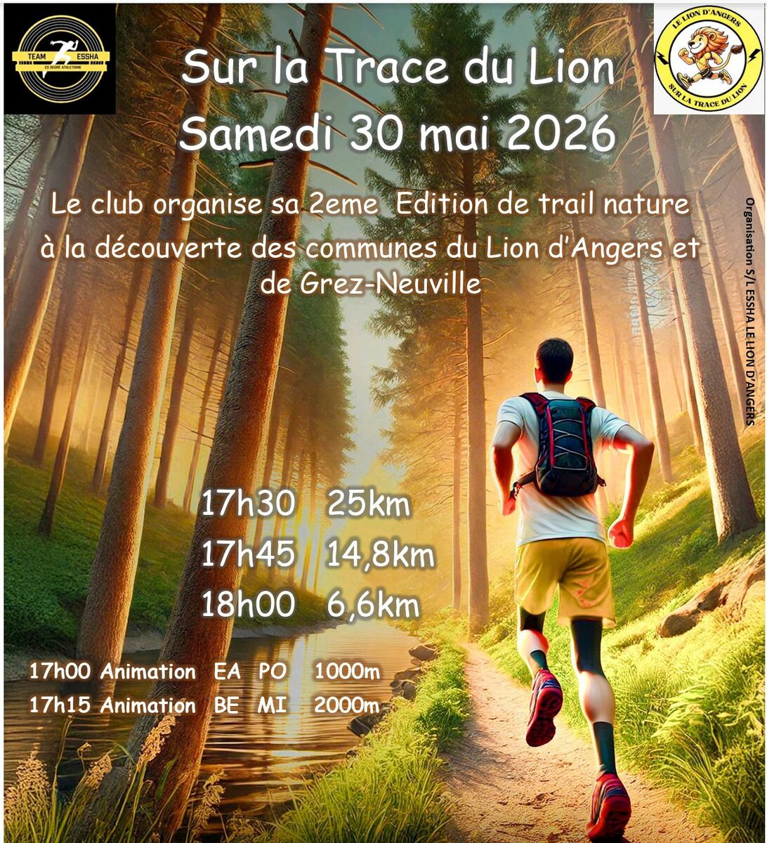Sur la trace du Lion