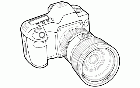 Photos des championnats 2016 de cross-country